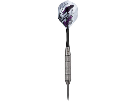 Image of Viper Underground Steel Tip Darts Raven 25 Grams - HomeFitPlay