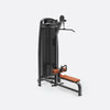 LAT PULL DOWN PLATE LOAD W/LOW ROW | 1461321