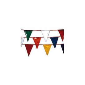100' Pennant Streamers | 1260XXXX