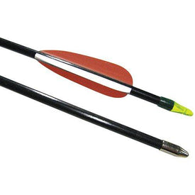 Glass Target Arrows 26