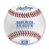 RAWLINGS BABE RUTH BASEBALL /DZN | 1055788