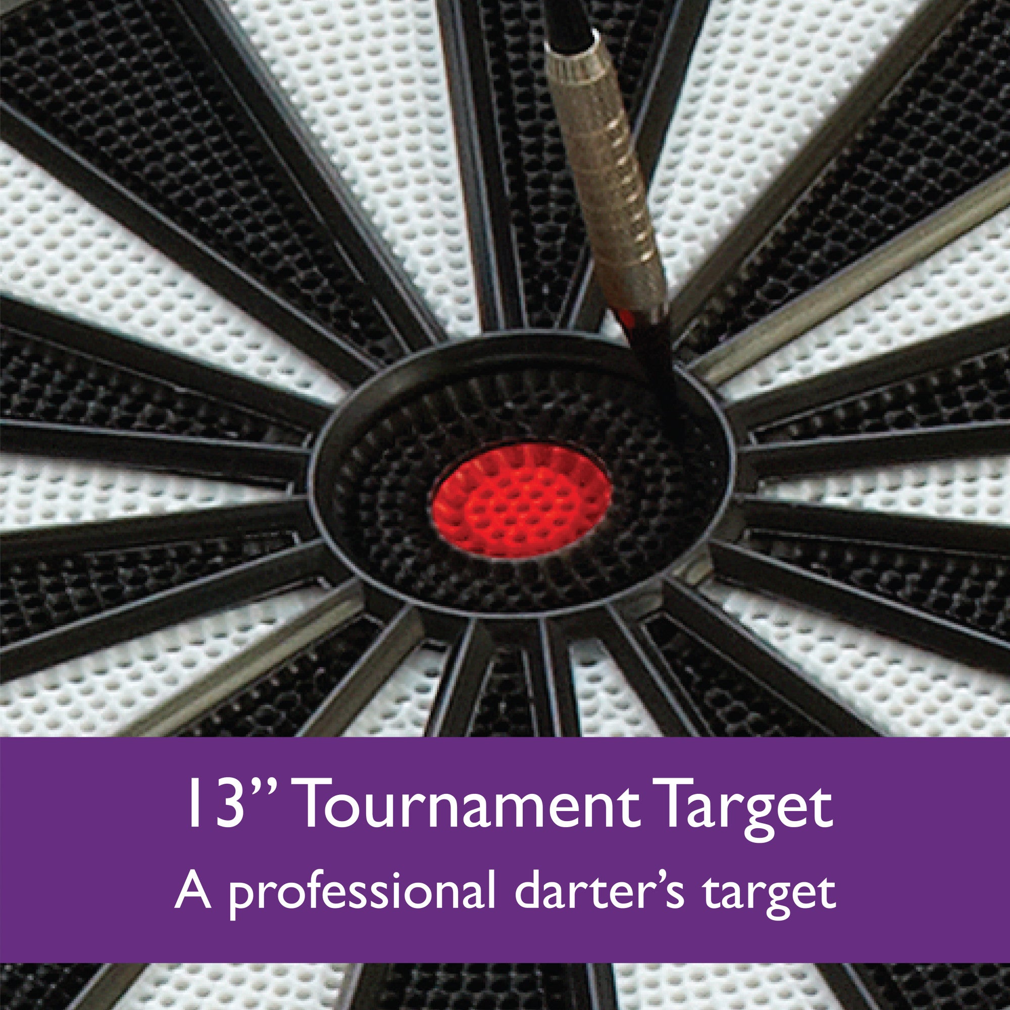 Fat Cat Electronx Electronic Dartboard