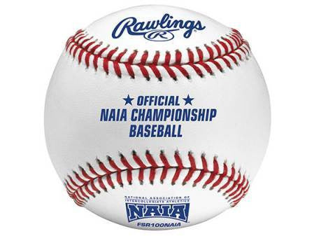 Rawlings FSR100NAIA - Flat Seam - HomeFitPlay