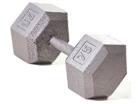 Hex Dumbbell w/ Straight Handle 75lb - HomeFitPlay