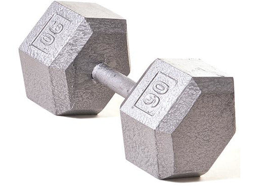 Hex Dumbbell w/ Straight Handle 90 lb - HomeFitPlay