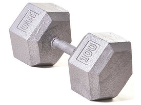 Hex Dumbbell w/ Straight Handle 100 lb - HomeFitPlay